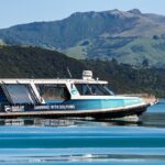 Akaroa Swim with Dolphins Tour from Christchurch - The Itinerary in Detail