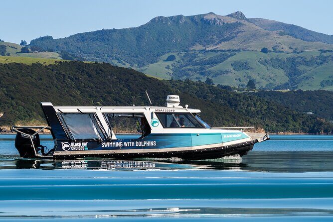 Akaroa Swim with Dolphins Tour from Christchurch - The Itinerary in Detail