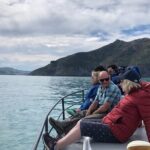 Akaroa Wildlife Cruise - Why the Small Group Matters