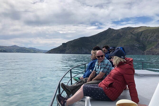 Akaroa Wildlife Cruise - Why the Small Group Matters