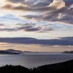 Albany: History and Highlights Tour - Why This Tour Offers Good Value