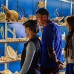 Albany's Historic Whaling Station Admission Ticket - Authentic Feedback from Visitors