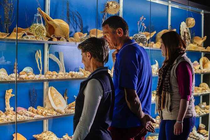 Albany's Historic Whaling Station Admission Ticket - Authentic Feedback from Visitors