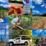 Albert Tours Excursion Safari - Moorea Safari tours&pick up - The Practicalities: Value, Comfort, and Suitability