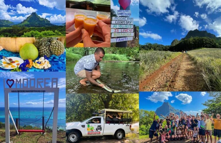 Albert Tours Excursion Safari - Moorea Safari tours&pick up - The Practicalities: Value, Comfort, and Suitability