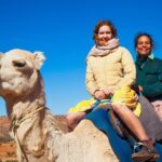Alice Springs Camel Tour - The Sum Up
