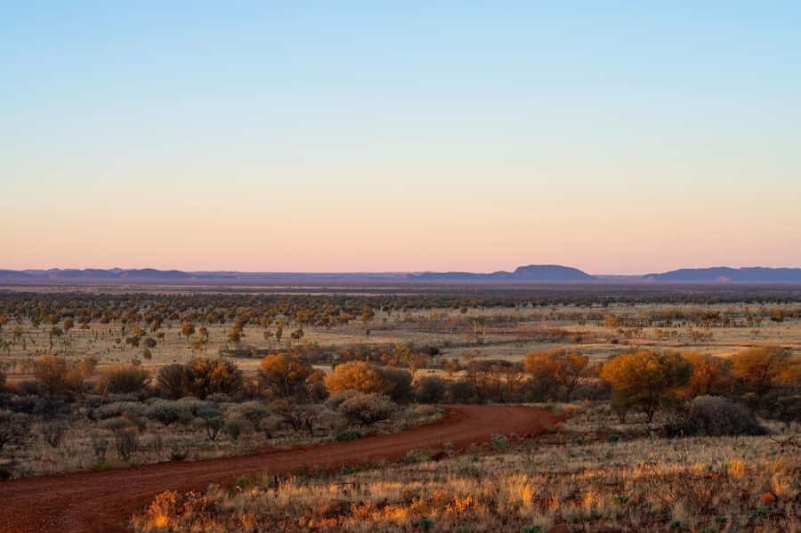 Alice Springs: Red Centre Journey Tour with Morning Tea - The Practicalities: What You Need to Know