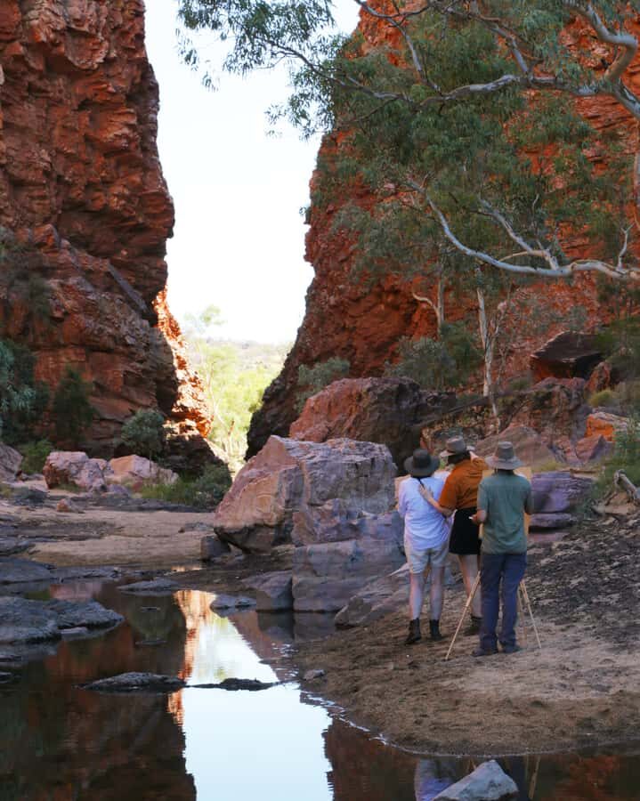 Alice Springs: Simpsons Gap Sunset Watercolor Painting Class - The Itinerary: What to Expect