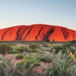 Alice Springs to Ayers Rock (Uluru) One Way Shuttle - Who Will Love This Tour?
