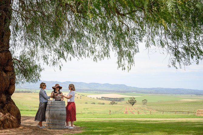 All Inclusive Barossa Valley Food and Wine Tour - Mengler Hill: Scenic Outlook