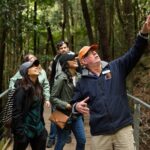 All Inclusive Blue Mountain,Scenic World,Lunch,Koalas,ferry - The Small Group Advantage and Guide Expertise