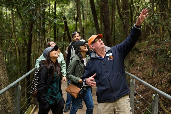 All Inclusive Blue Mountain,Scenic World,Lunch,Koalas,ferry - The Small Group Advantage and Guide Expertise