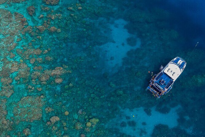 All Inclusive Great Barrier Reef Cruise w optional Scuba Diving - Price & Value Analysis