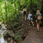 Amazing Daintree Rainforest Tour Waterfall Hike, Lunch, Swim & Crocodile Cruise - Frequently Asked Questions