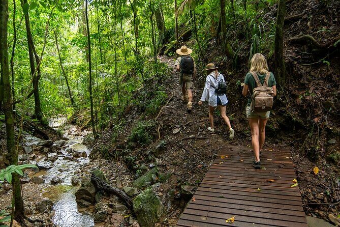 Amazing Daintree Rainforest Tour Waterfall Hike, Lunch, Swim & Crocodile Cruise - Frequently Asked Questions