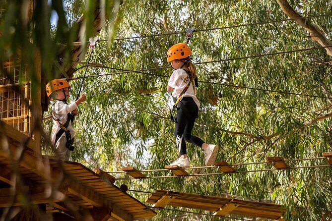 An exciting, Tree Top Adventure for Our Littlest Adventurers - Authentic Reviews and What They Tell Us