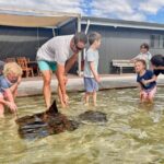 Anna Bay: Irukandji Entry Pass with Shallows Encounter - What Makes It Special?