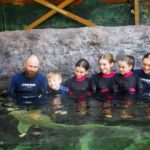Anna Bay: Irukandji Entry Pass with Zebra Shark Encounter - What else is included in the experience?