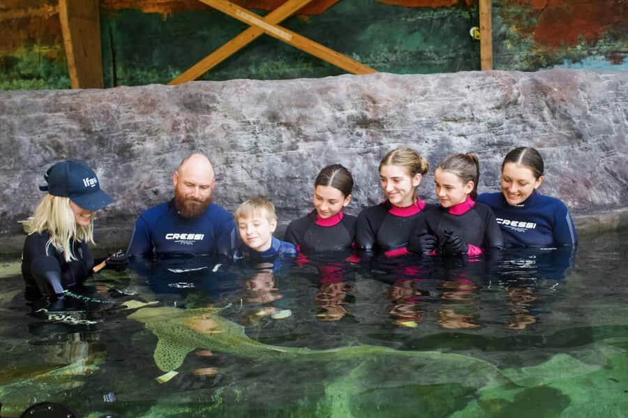 Anna Bay: Irukandji Entry Pass with Zebra Shark Encounter - What else is included in the experience?