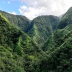 AOA Polynesian Forests - Hiking Sanctuary Biodiversity Tahiti - Logistics, Cost, and Practical Considerations