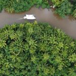 Apetahi day trip around Raiatea on a modern outrigger canoe - Who Will Love This Tour?