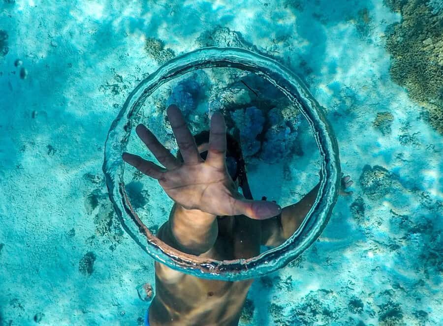 Apetahi day trip around Raiatea on a modern outrigger canoe - Analyzing the Value