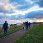 Apollo Bay: Dusk Discovery Great Ocean Road Wildlife Tour - What Travelers Say