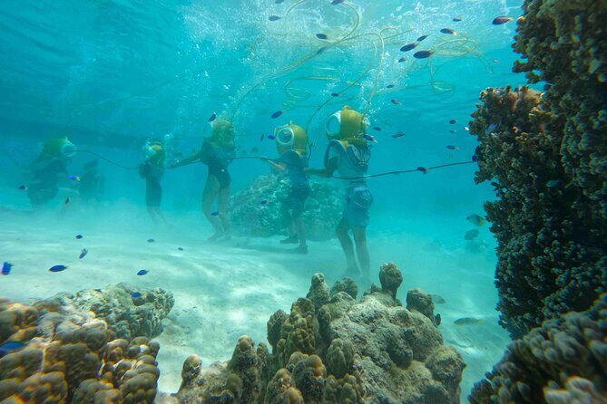 Aquablue Moorea - The Itinerary in Detail