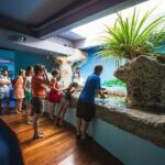 Aquarium Package in Nouméa's with Admission with Hop-on Hop-Off - Family-Friendly and Value-Driven