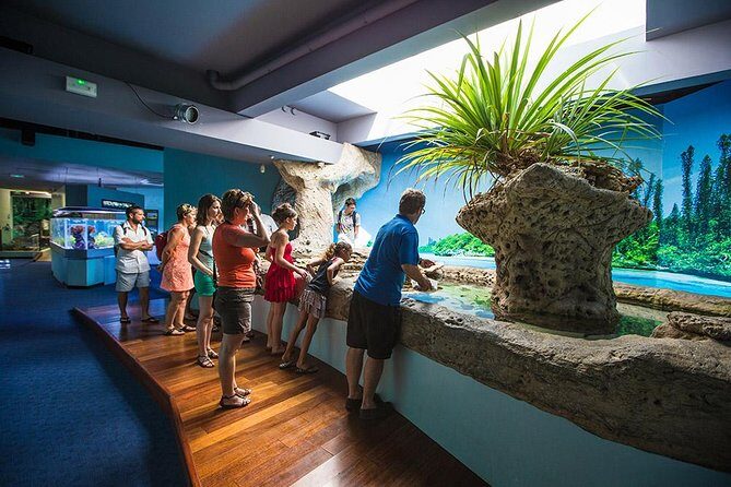Aquarium Package in Nouméa's with Admission with Hop-on Hop-Off - Family-Friendly and Value-Driven