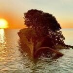 Aquascene Magnetic Island Sunset & Shipwreck Tour - Final Thoughts