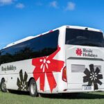 Arrival Shared Transfer : Airport to Hotel - Highlights of the Experience