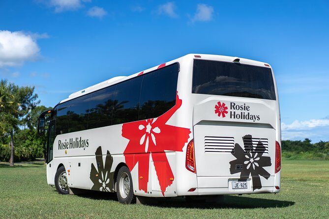 Arrival Shared Transfer : Airport to Hotel - Highlights of the Experience