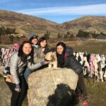 Arrowtown Wanaka Private Day Tour from Queenstown - A Detailed Breakdown of the Experience