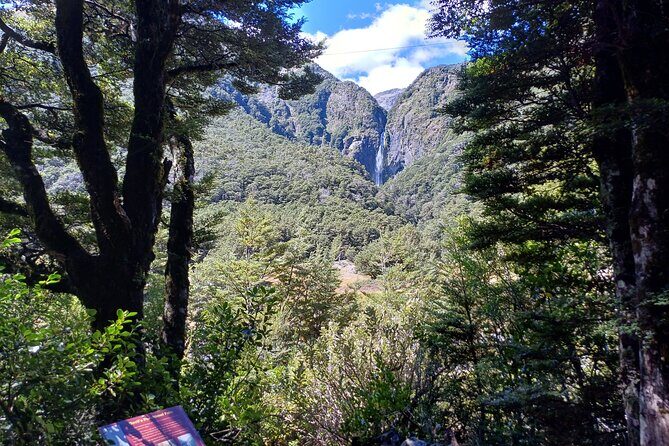 Arthurs Pass with Optional TranzAlpine Train (Private Tour) - Authentic Experiences and Traveler Perspectives