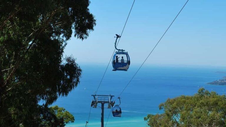 Arthurs Seat Eagle: Scenic Gondola Ride - The Ride: What to Expect