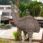 Astounding Scavenger Hunt: Queenstown Take The Leap! - Who Will Love This Tour?