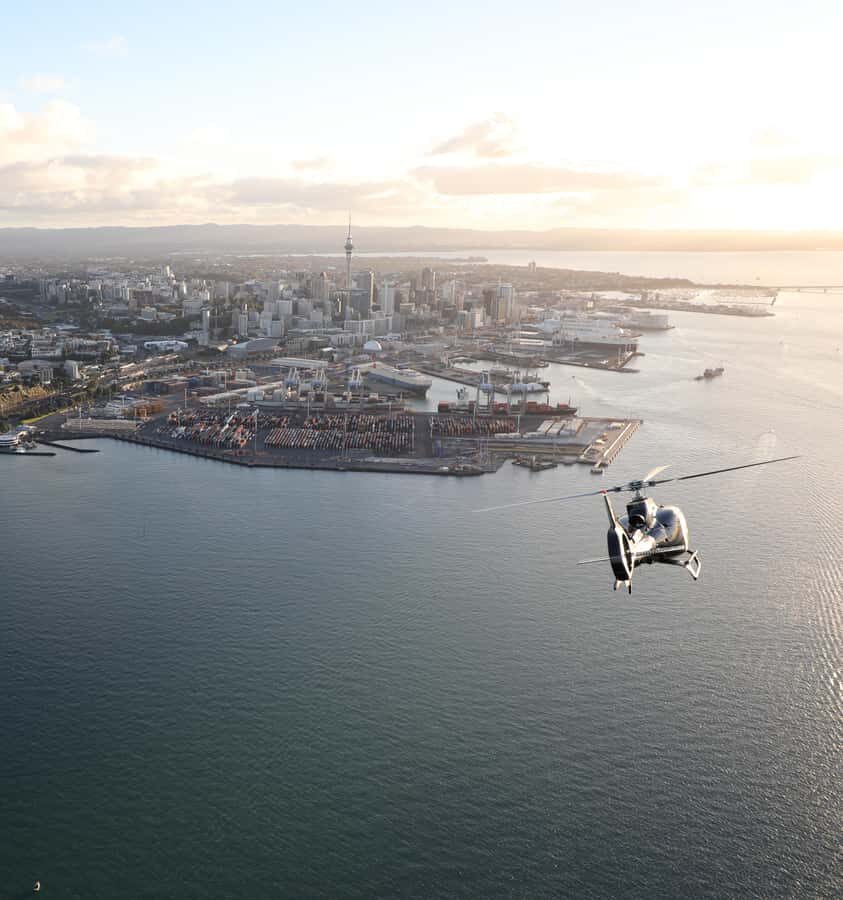 Auckland: 20min Helicopter scenic flight - City & Volcanoes - Who Will Love This Experience?