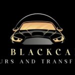 Auckland Airport Private One-Way or Round-Trip Transfer - Overview of the Experience