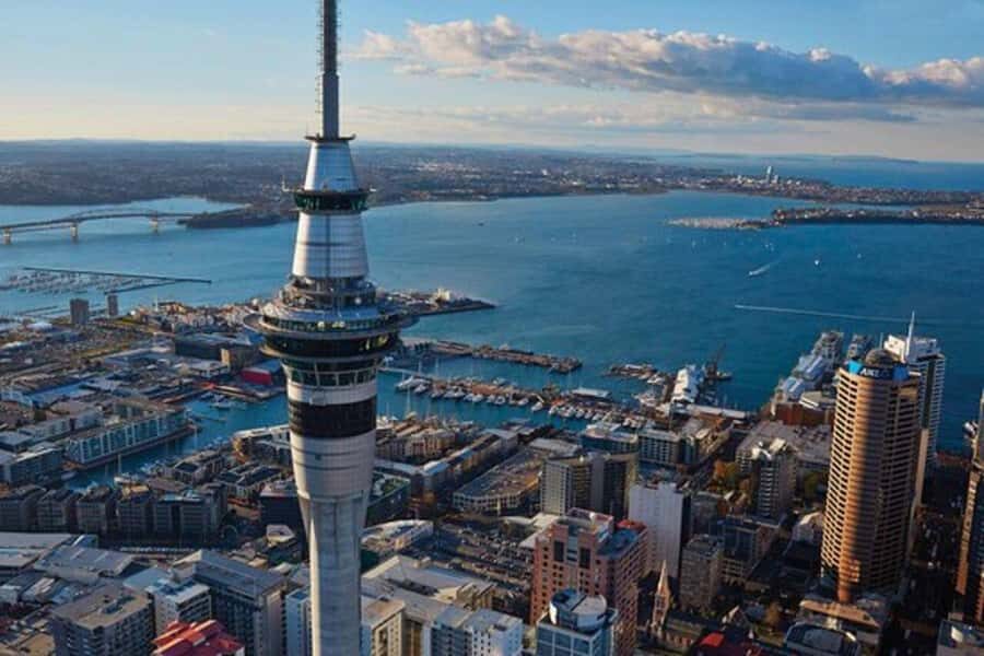 Auckland: Auckland City & Hauraki Gulf Scenic Flight - Who Should Consider This Tour?