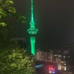 Auckland: Auckland City Tour 4 hours private - Analyzing the Value