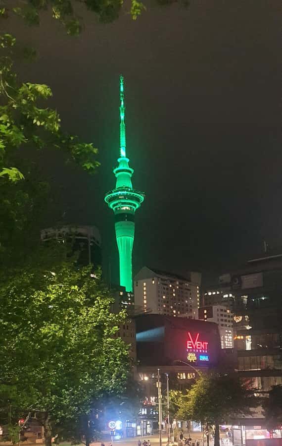 Auckland: Auckland City Tour 4 hours private - Analyzing the Value