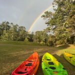 Auckland: Bioluminescence Kayak Tour with Guide - Deep Dive into the Tour: What You Can Expect