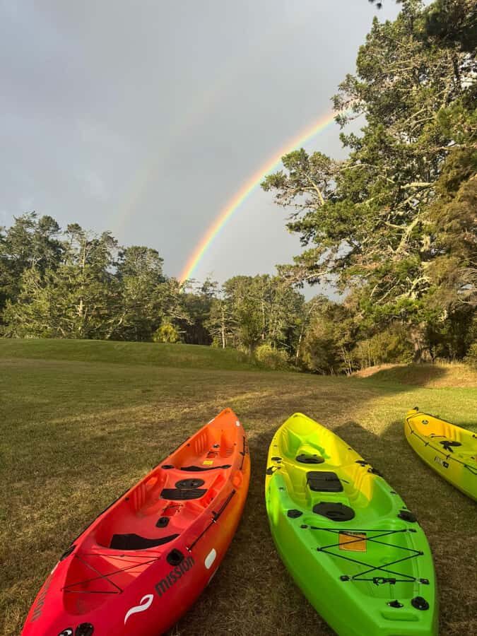 Auckland: Bioluminescence Kayak Tour with Guide - Deep Dive into the Tour: What You Can Expect