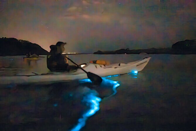 Auckland Bioluminescence Kayak Tour - Overall Impression