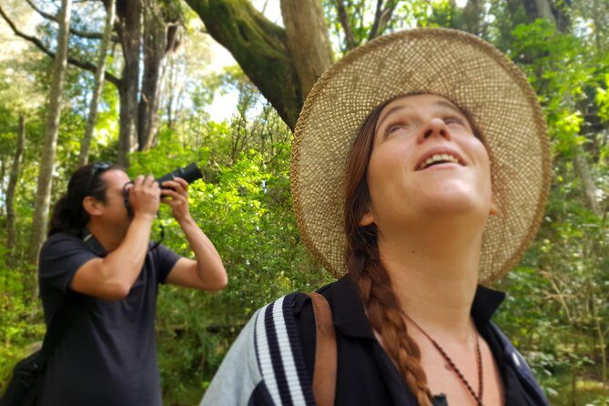 Auckland Bush, Beach and Bites Trail - The Introduction: Auckland’s Urban Escape Begins