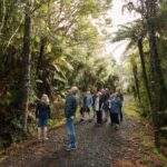 Auckland City, Beaches & Rainforest Premium Small Group Tour - Who Should Consider This Tour?