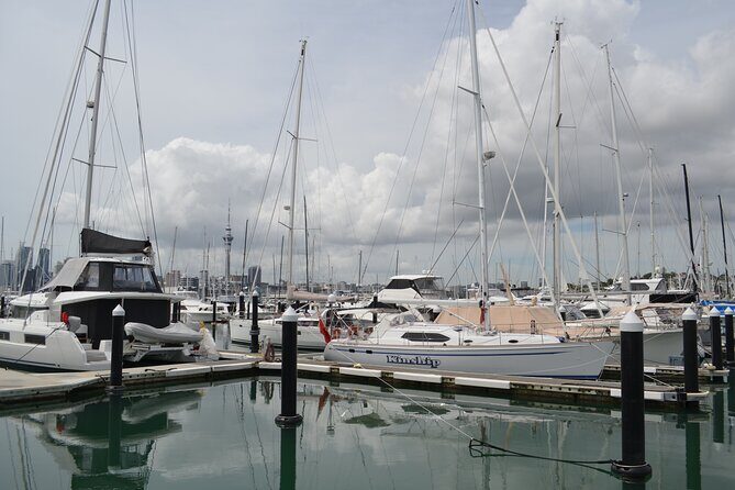 Auckland City Halfday Main Tour - Who Is This Tour Best Suited For?