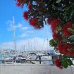 Auckland City Halfday Private Tour - Practical Considerations and Value