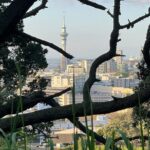 Auckland City Highlights and Hidden Gems Half Day Tour - The Experience and Practicalities